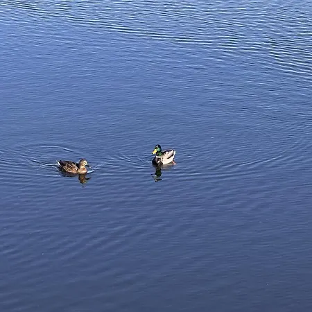 Bayline - 2 Spa-pool & Gym Апартаменты